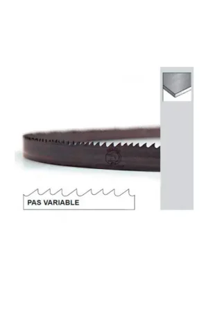 Achetez Aujourd'hui Lame de scie à ruban BIMETAL - Longueur 2240 x 13 x 0.60 mm - Denture 6/10 TPI